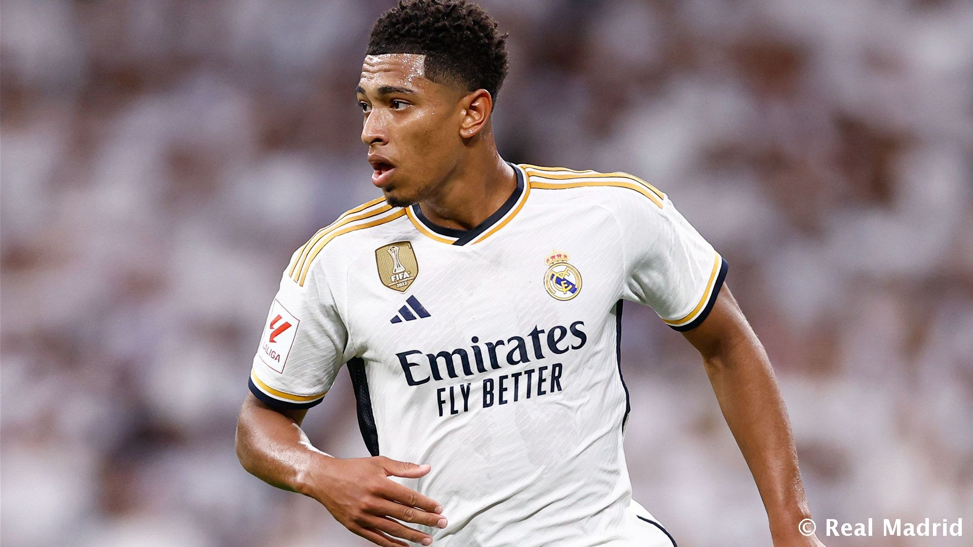 2025年世界女排联赛半决赛，意大利3-0战胜波兰，凭借进攻和网口优势强势夺冠。